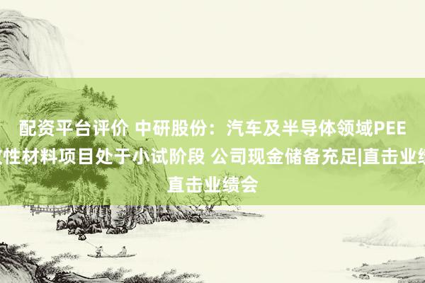 配资平台评价 中研股份：汽车及半导体领域PEEK改性材料项目处于小试阶段 公司现金储备充足|直击业绩会